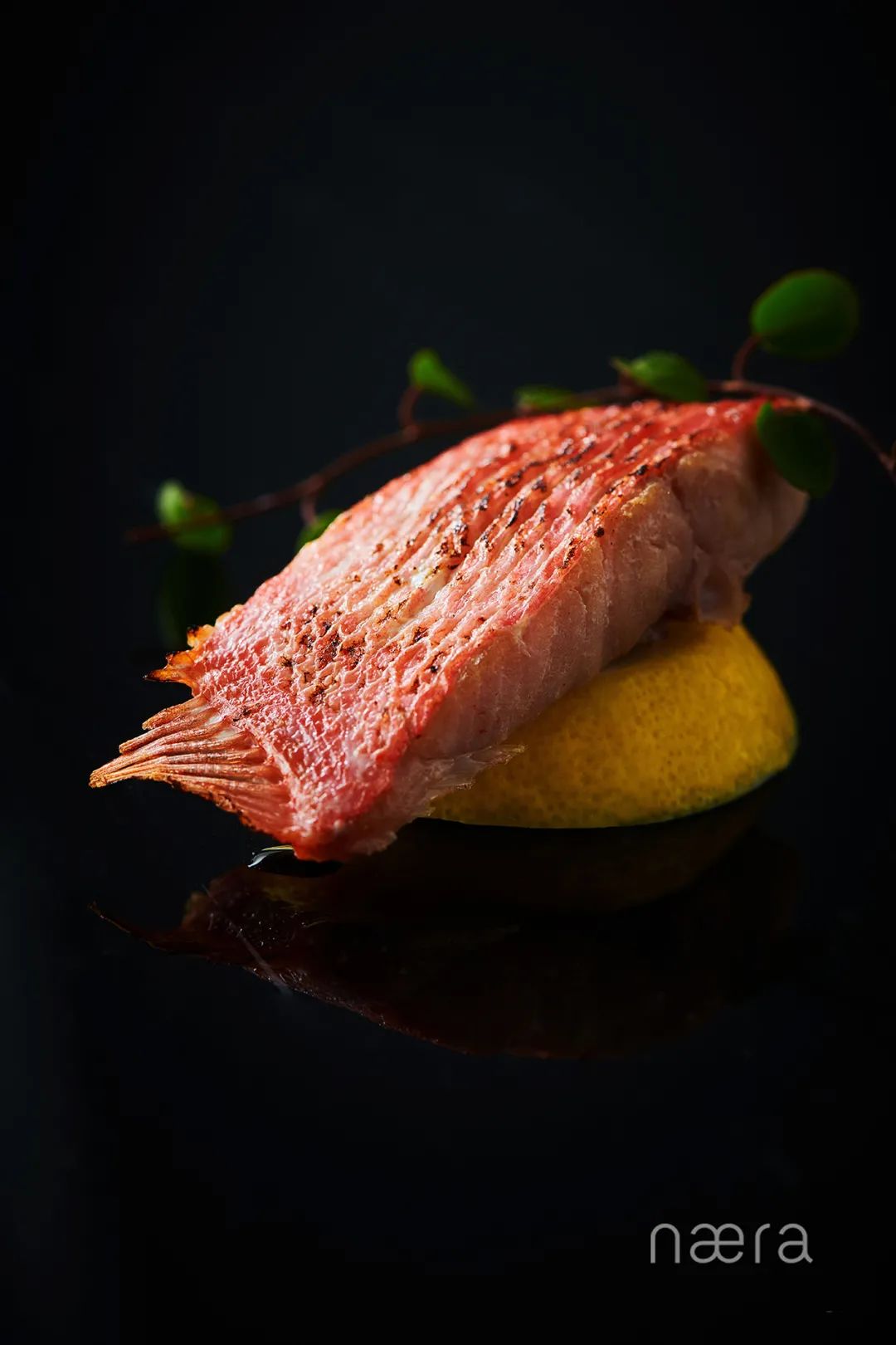 西塘古镇最佳的景观酒店,看西塘最好的酒店