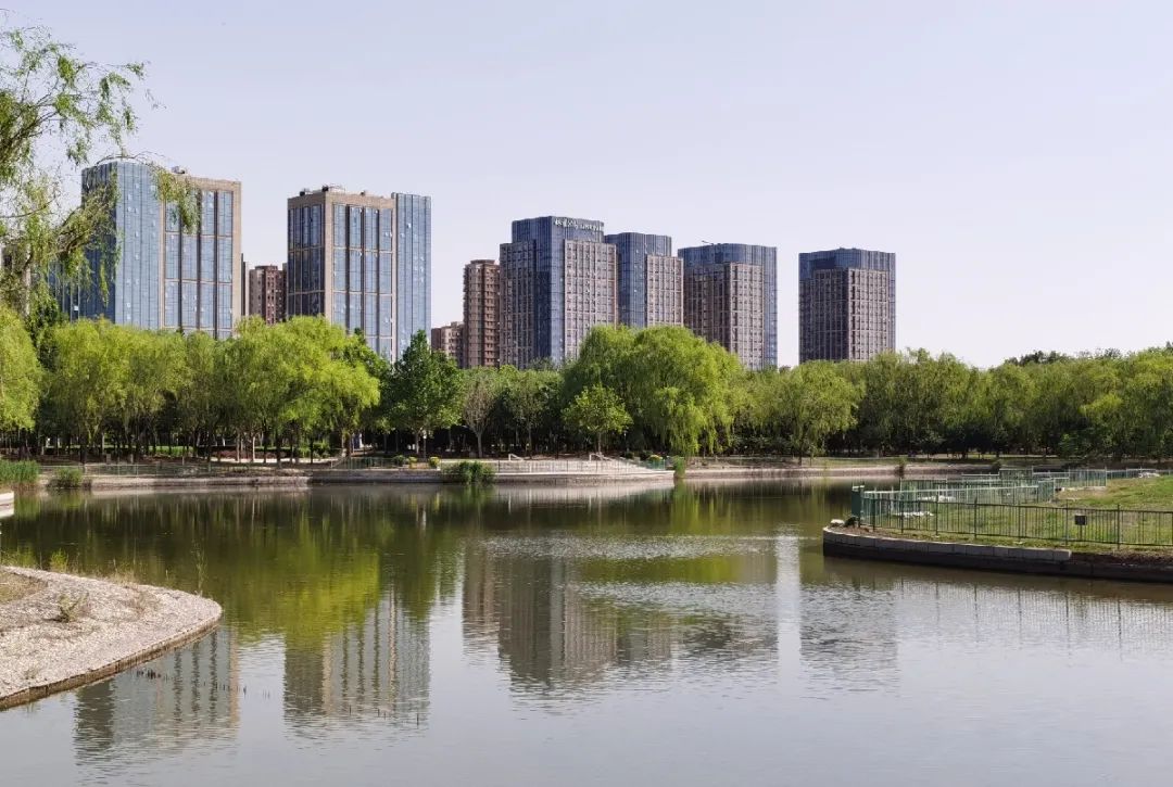 漫游新城|文化荟萃，景色怡人，在这里尽享公园慢时光