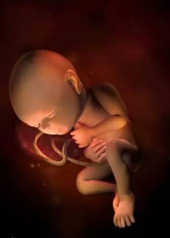 宝宝在子宫会无聊吗？看看胎儿在子宫内都干些什么