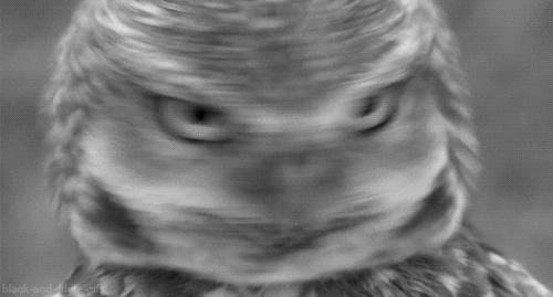 落枕疼,颈椎疼落枕贴膏药怎么越来越严重