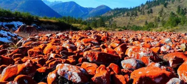 7-8月份甘孜旅游最佳地方,正是赏景好时节