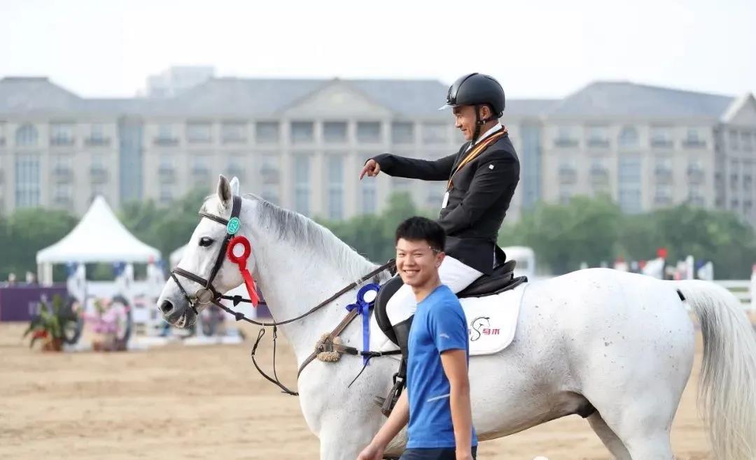 马术比赛包括哪三项赛事,2018年全国马术三项比赛