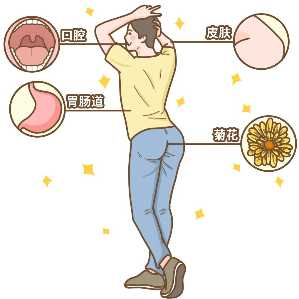 为什么菊花有味道,为什么吃了辣的菊花会火辣辣的