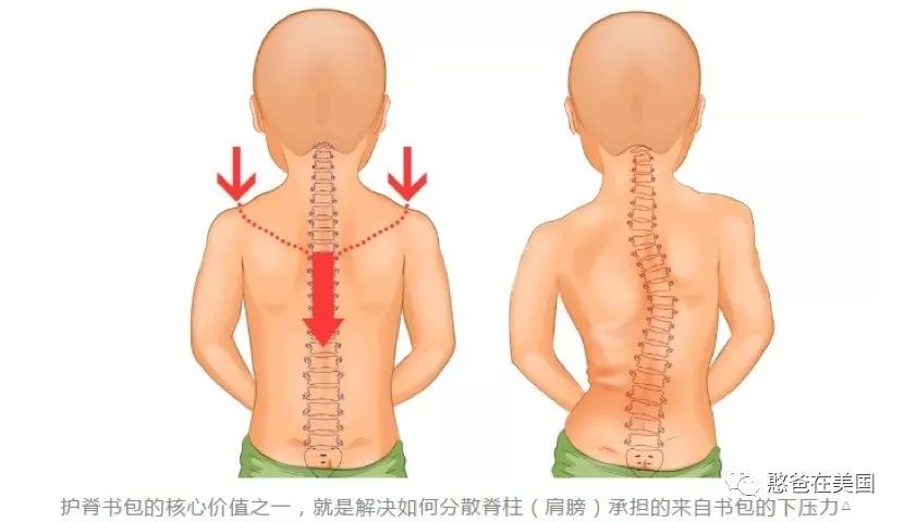 开抢：为了给娃选个好书包，真是费了老大的劲