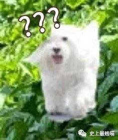 “这移动篮球架可还行？”爸爸又解锁了带娃新方式，笑掉大牙哈哈哈哈哈哈哈