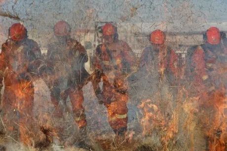 *藏西**那曲|苍翠成“云杉”一样的尖刀