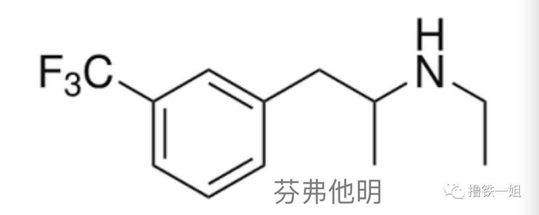 鏁欒偛鏁撮】鎴掓瘨,鏁欒偛鏁撮】绂佹瘨