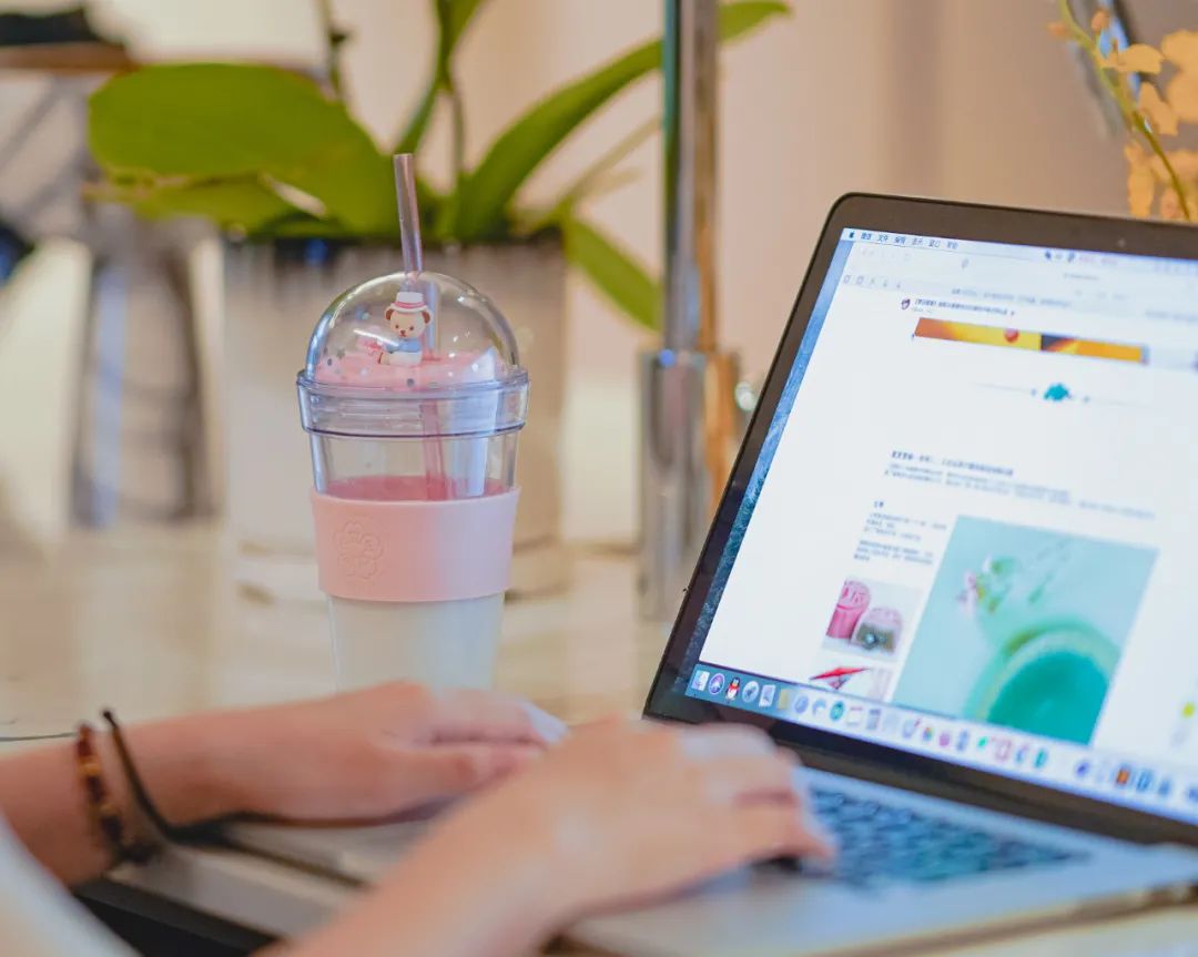 泰福高泰迪吸管杯,泰迪珍藏水杯