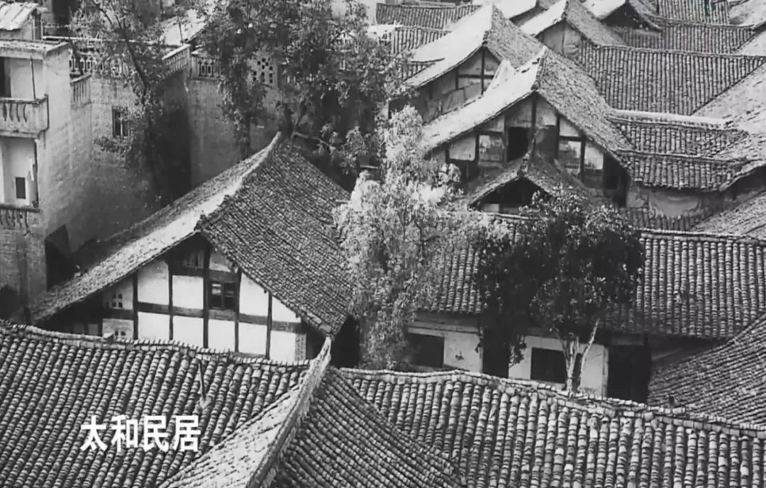 热爱家乡主题活动,热爱家乡展望未来的社会实践活动