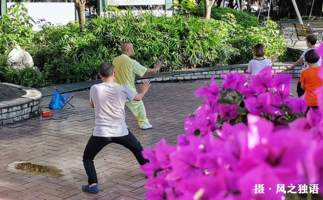 热爱家乡主题活动,热爱家乡展望未来的社会实践活动