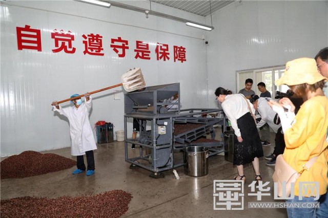 富平县天玺柿饼小镇,参观富平柿饼