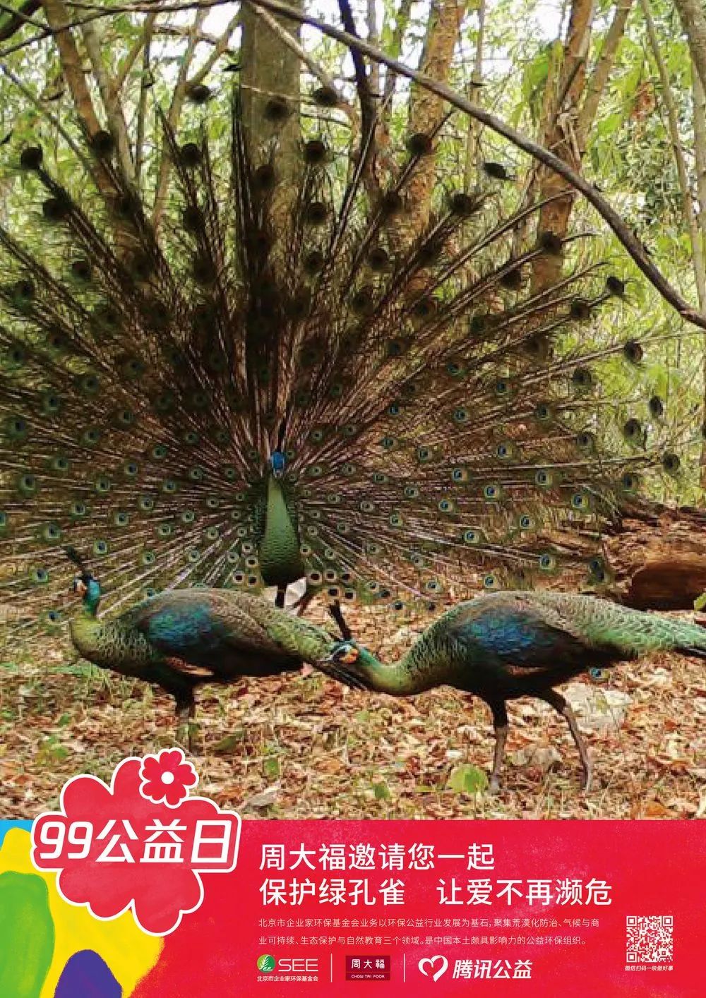 99公益伙伴日,99公益日温暖世界