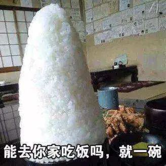 5年培育、全市首个!金山种植的这个“优质物”未来将推广至全国!