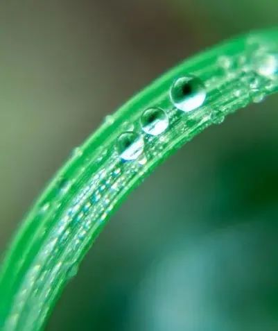 今日白露美句美文,今日白露五律诗