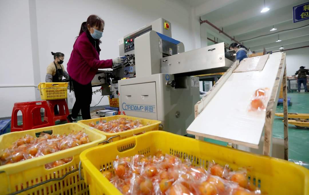 柳州市网络扶贫哪家强？请您来参加有奖投票