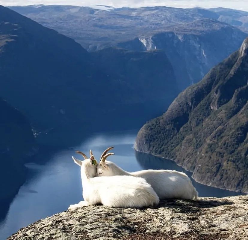 挪威绝美风景,挪威的奇妙景象