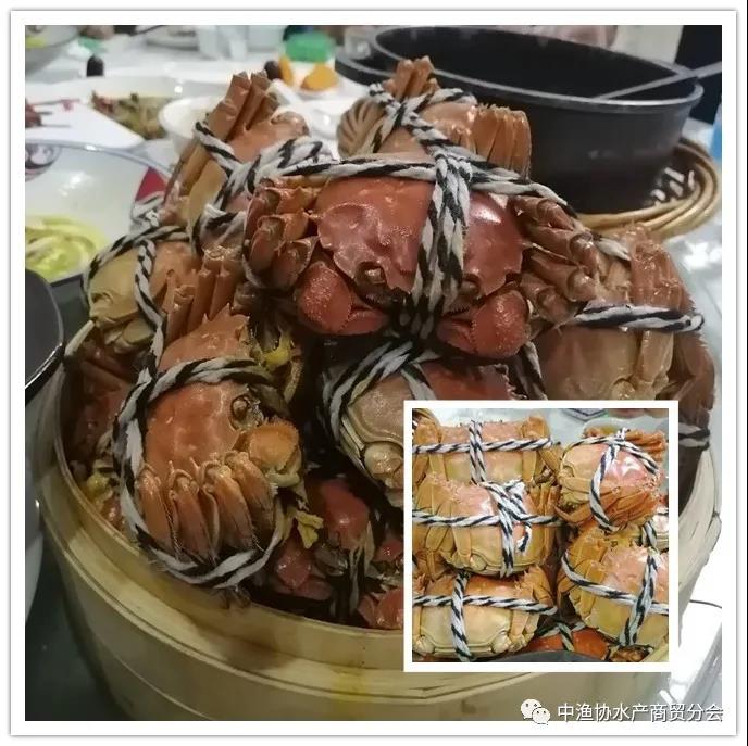 中国大闸蟹领跑者蟹都汇,蟹都汇大闸蟹盛大开业