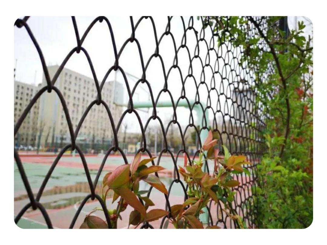 每日早报打卡,光盘行动打卡活动策划