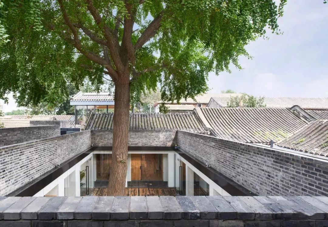 凭借一家%Arabica门店获得2020建筑界奥斯卡大奖，青山周平这次又出手了