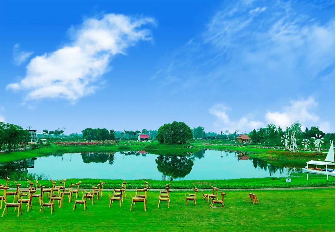 果实圆熟之秋,百万流量主播带你走进新津