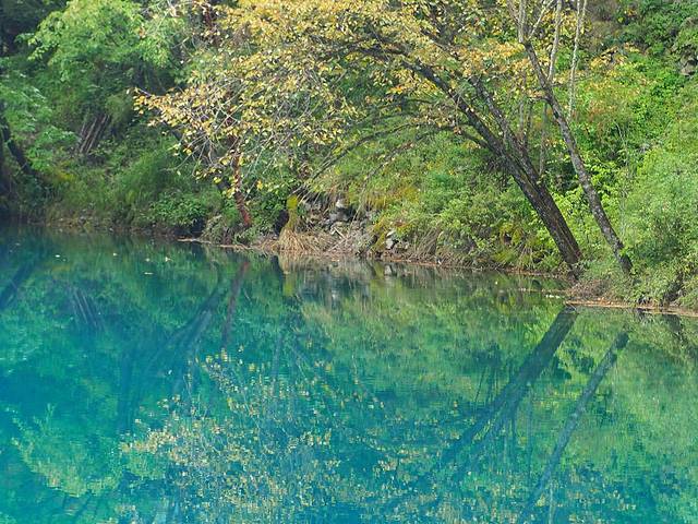 初秋,与神话九寨的浪漫之约