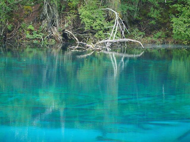 初秋,与神话九寨的浪漫之约