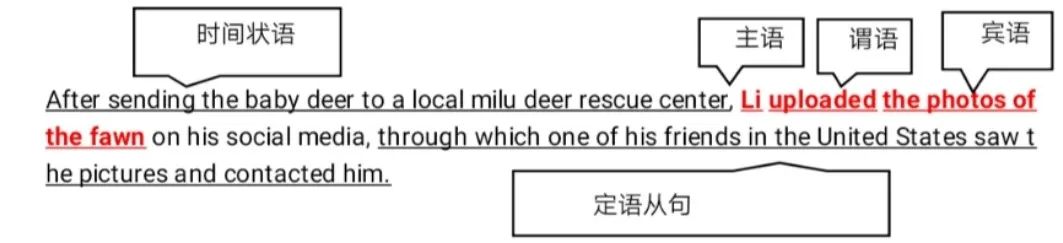 五步阅读理解法,五步精读法帮你读懂