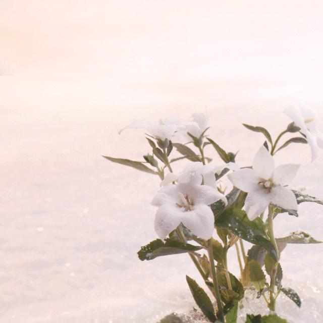 护肤|听说护肤品里TA最冤了