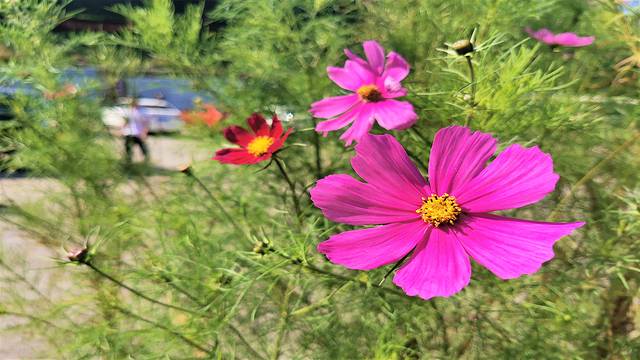 涞水野三坡旅游攻略,涞水白草畔自然风景区野三坡