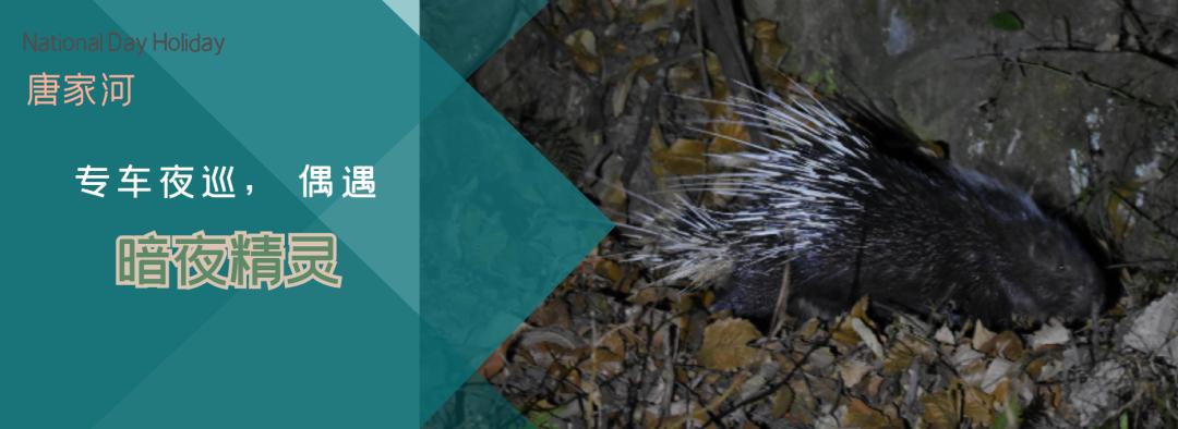 别去挤景点了！生态旅游了解一下