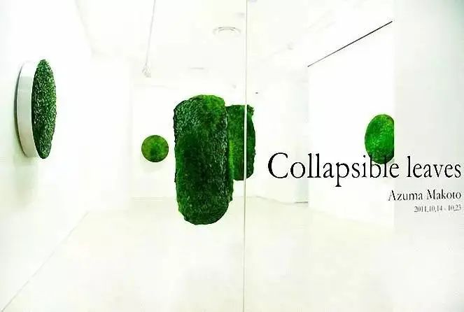 他是日本著名“花花公子”，拈花惹草只为极致的美