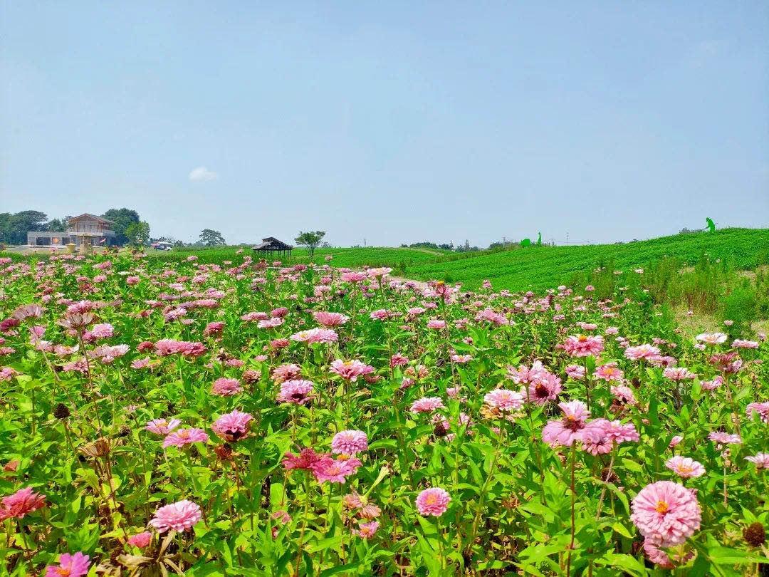 国庆南京江宁一日游,江宁避暑一日游