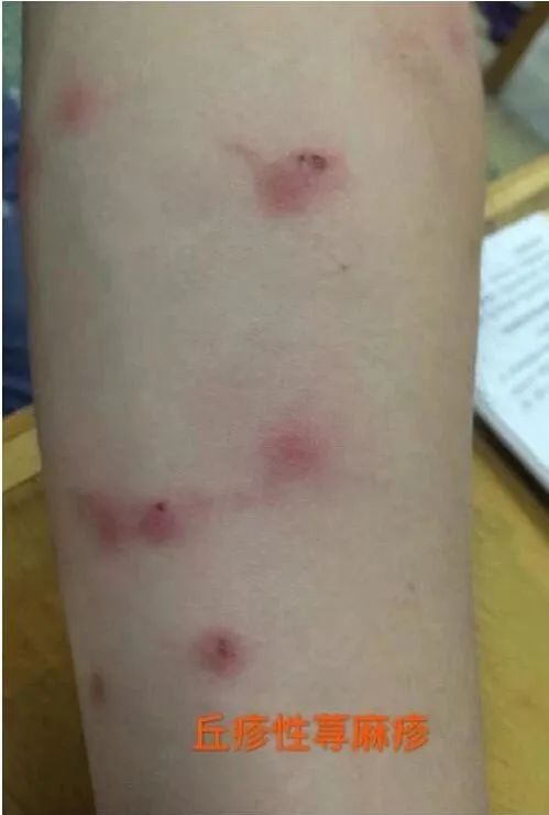 假期外出提醒,假期出去旅游提醒