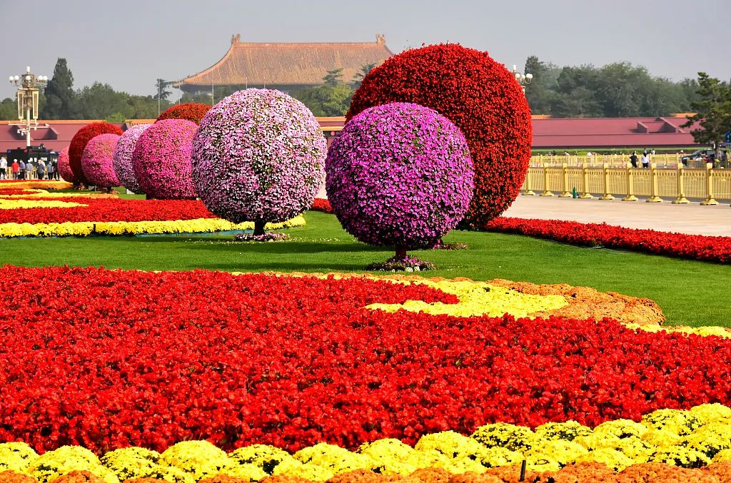 有一种美叫花园庭院,2021年国庆节天安门漂亮花坛图片