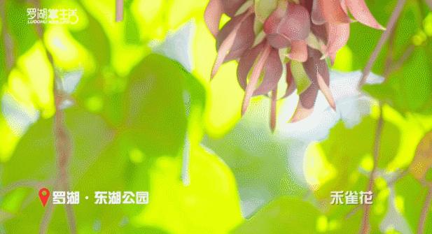 此生必打卡的宝藏旅行地,秋季小众宝藏旅行地