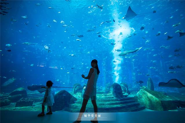 三亚泡酒店带三餐,三亚旅游吃海鲜攻略