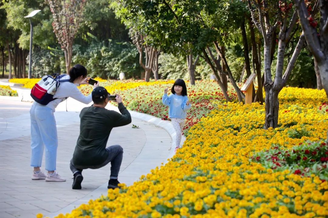 适合周末亲子游的地方,亦庄有什么公园可以玩