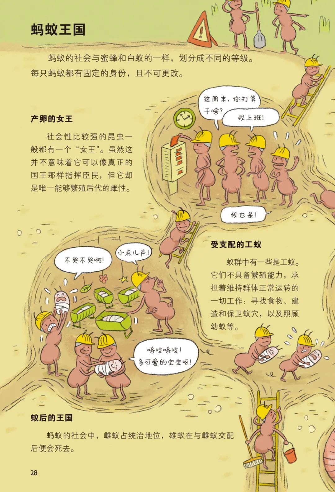 法国儿童哲学启蒙书,法国儿童科普书