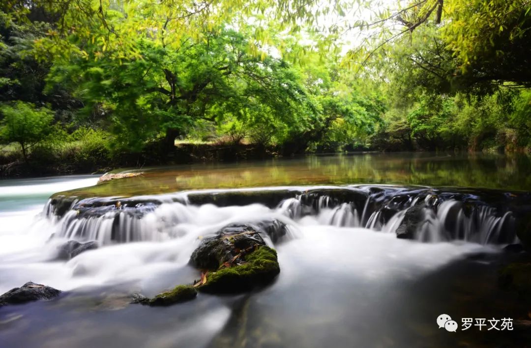 黄永国,黄永国艺术签名设计
