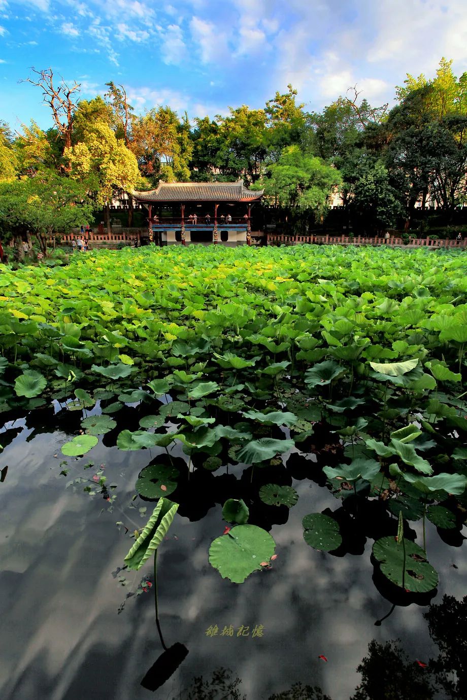 广汉有什么好吃又实惠,广汉有什么推荐的吃的