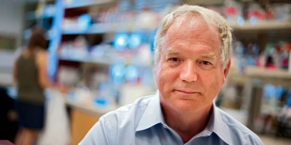 肝炎病毒如何突破人类免疫系统,目前有丙型肝炎疫苗吗