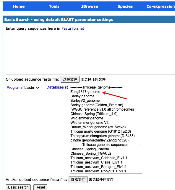 小麦基因组序列查询,小麦基因组