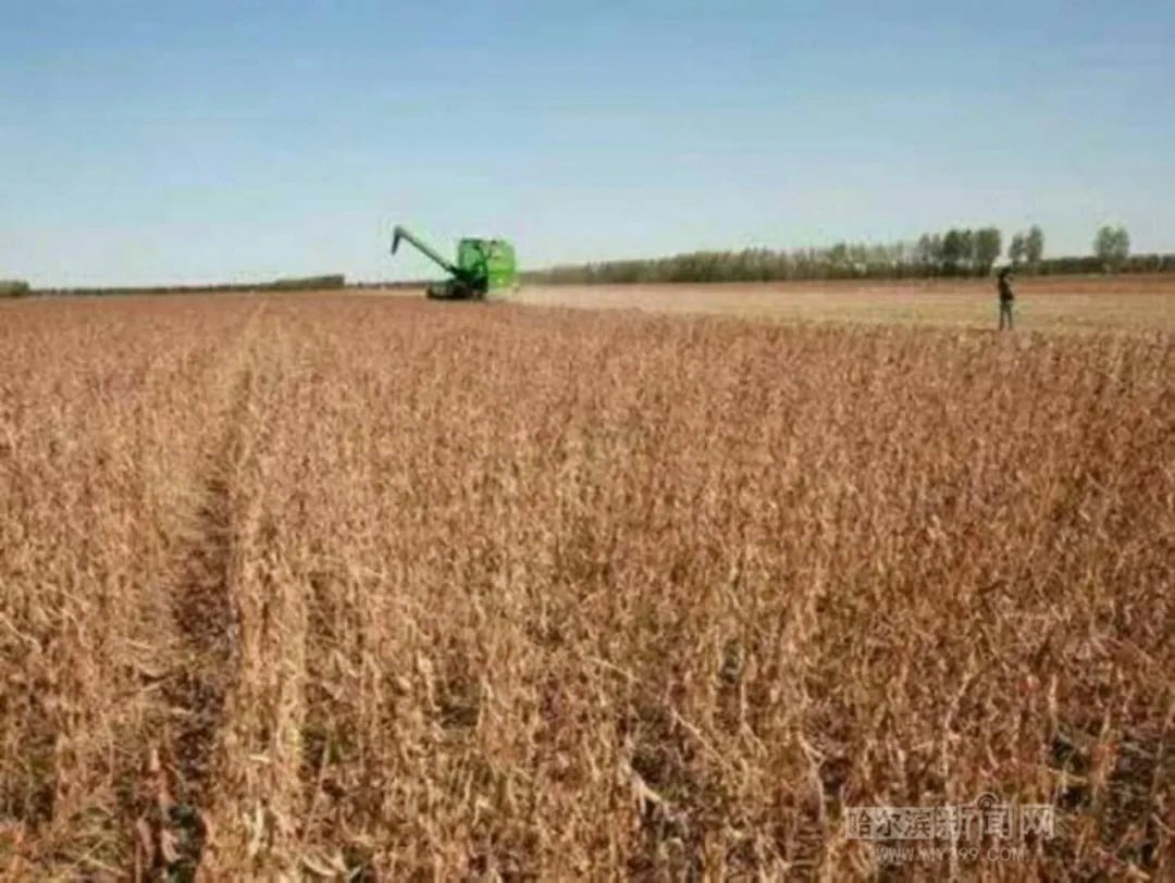 走进我们的幸福小康丨刘文君:一颗“创业心”开拓全村致富路