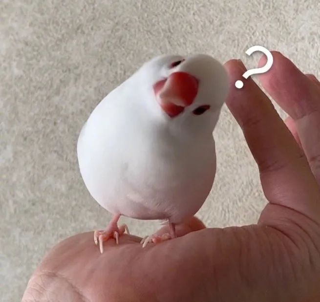 爱长斑的女人怎么办,女生长斑