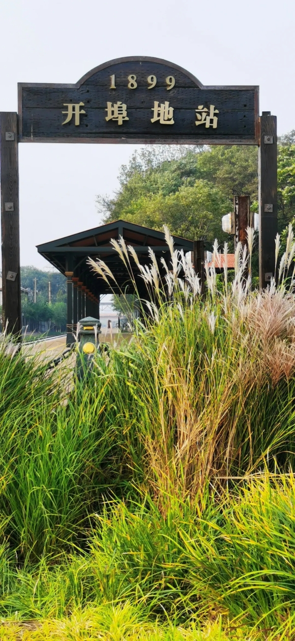 秋天的秦皇岛有多美？摄影家用镜头告诉你