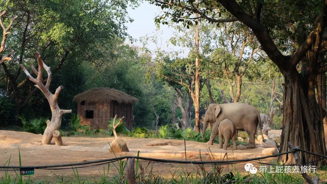 长隆选哪个酒店,广州长隆怎么选酒店