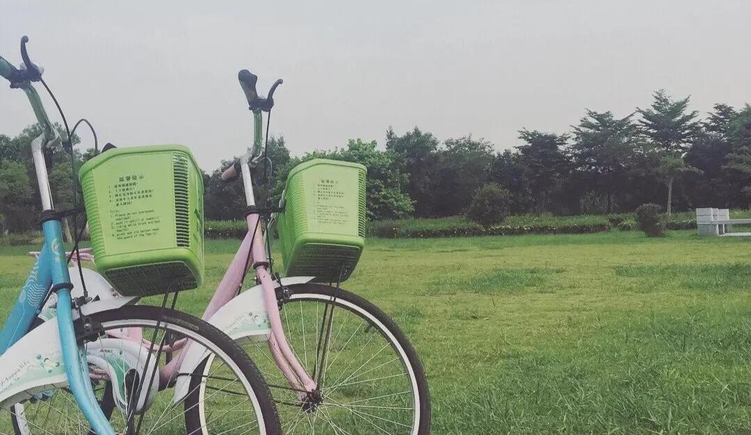 东莞周末带小孩哪里有好玩的地方,东莞又有什么好玩的