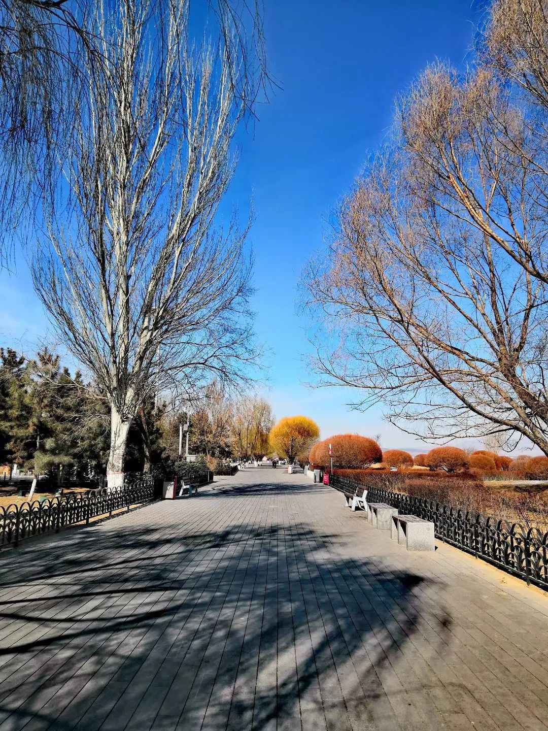 「996|美文」美丽的地方，京西三百里（下）