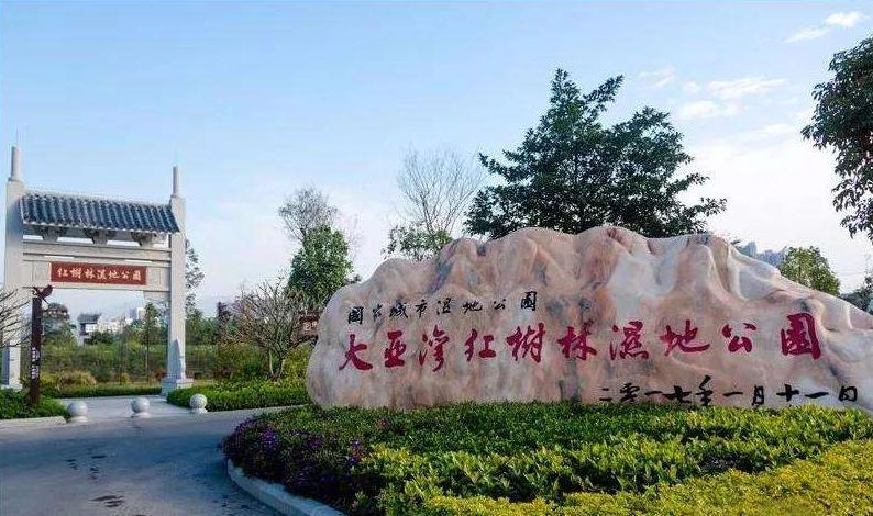 阜阳增开列车最新消息,阜阳调整航线