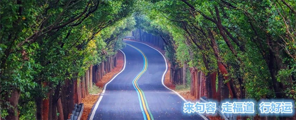 句容幼儿园排名,句容所有幼儿园